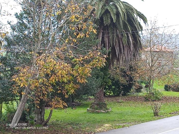 Casa Chisco Apartman Cudillero Kültér fotó
