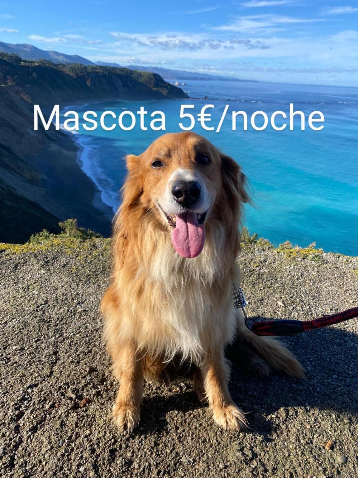 Casa Chisco Apartman Cudillero Kültér fotó
